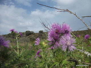 zzena-07-04-2013 08-31-08